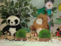 /album/galeria-de-fotos%3a-rede-de-crian%c3%a7as/dsc04313-jpg1/