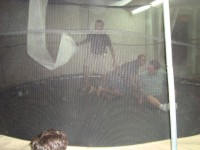 /album/galeria-de-fotos%3a-rede-de-crian%c3%a7as/dsc04449-jpg1/